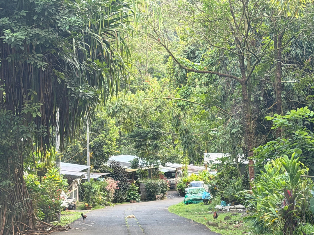 Faarumai Waterfalls-阿鲁埃必去景点