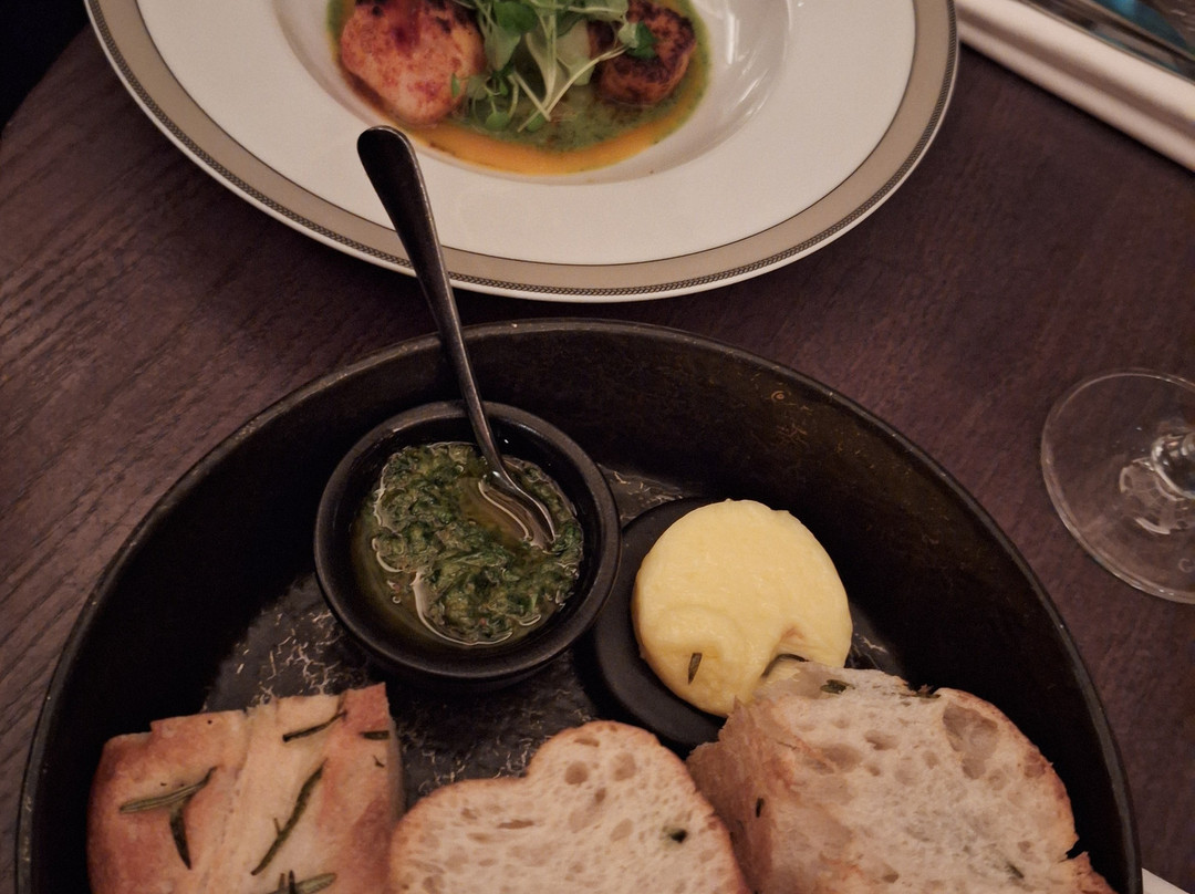 Gaucho Liverpool
