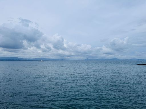 海口国宾馆-旅行者
