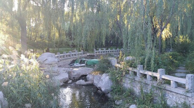 西沽公园-天津市必去景点