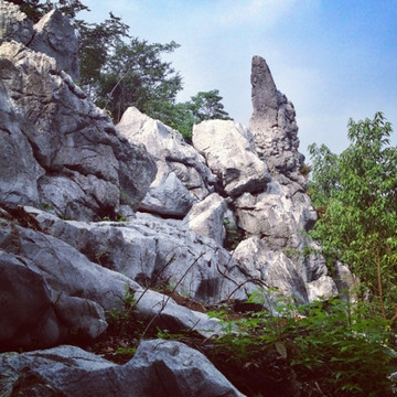 三衢石林风景区