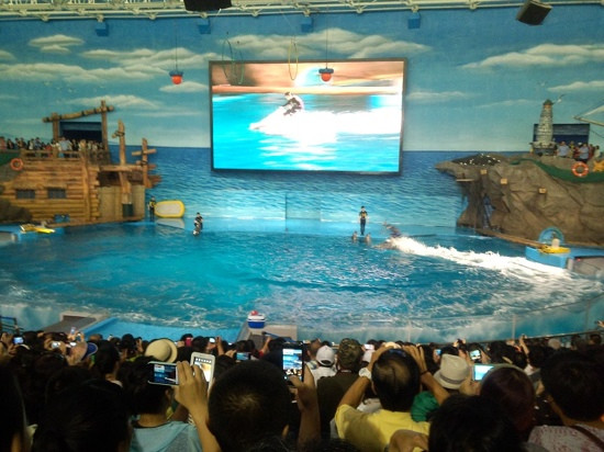 欢乐海洋公园-秦皇岛市必去景点