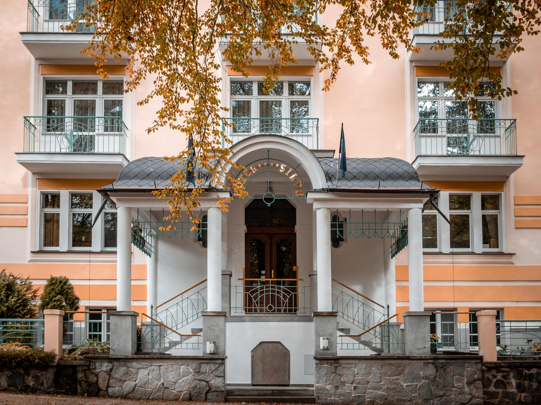 Prameny酒店住宿-Spa Hotel Silva