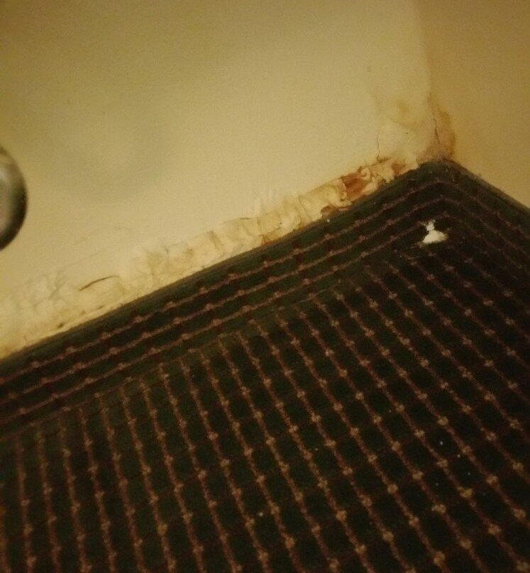 College Inn Natchitoches