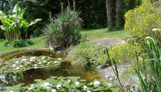 Jardin Botanique de St-Triphon-Ollon必去景点