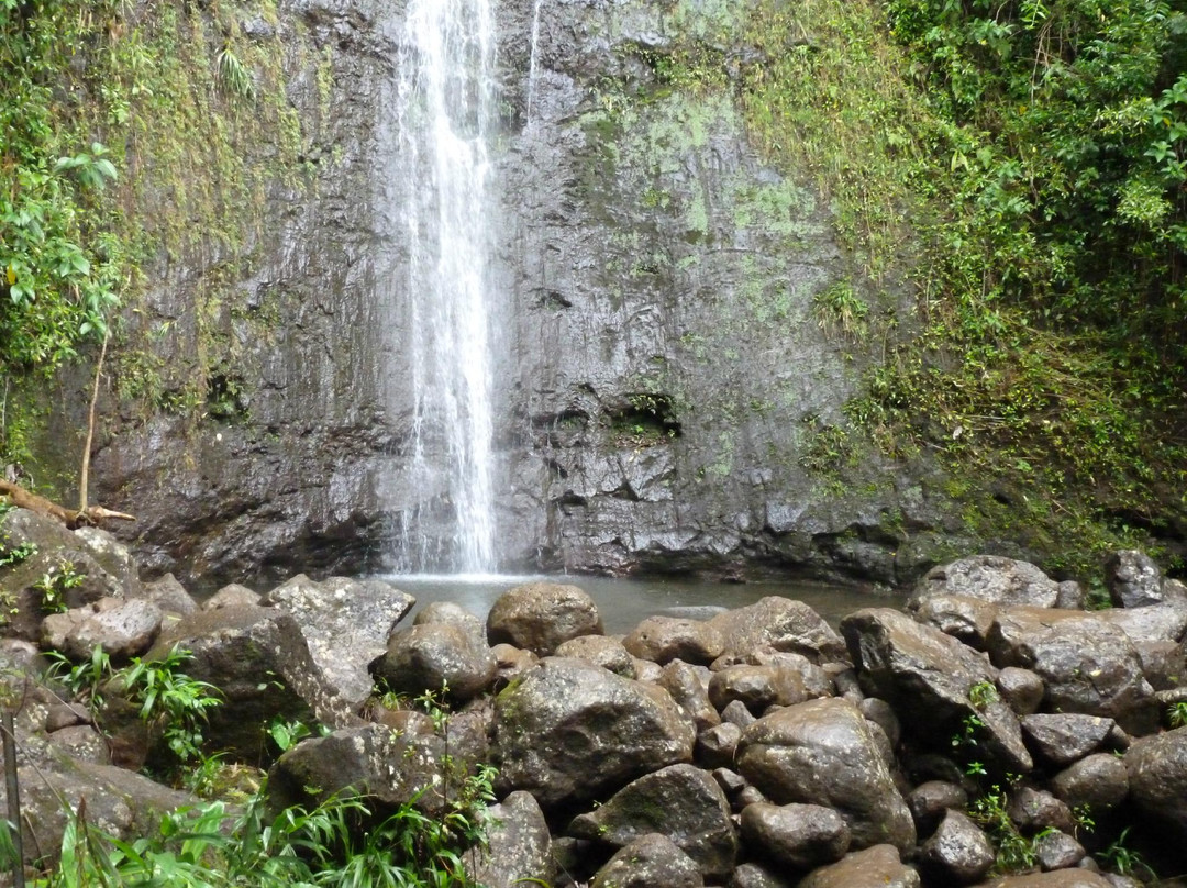 火奴鲁鲁旅游景点-玛诺亚瀑布