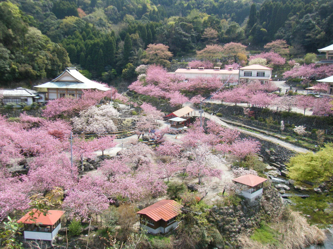 Isshinji Temple景点图片