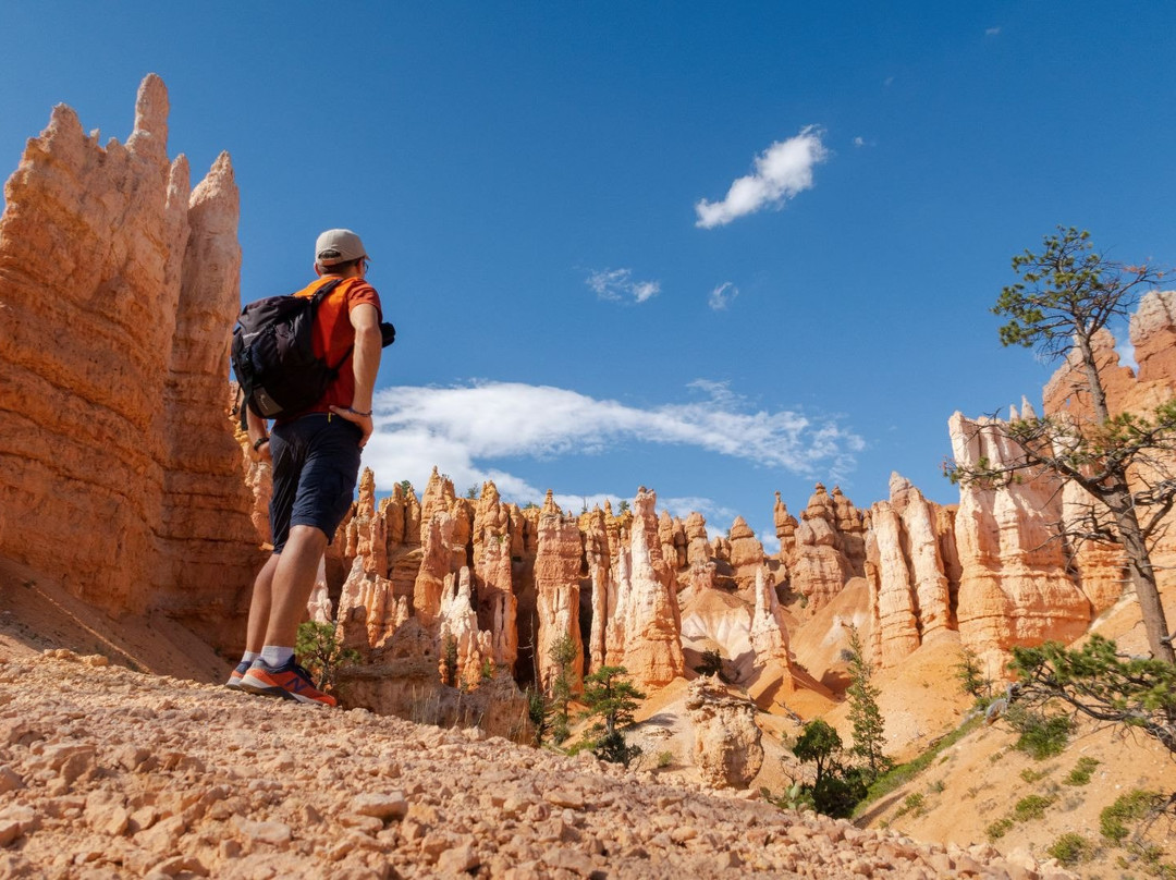 Bindlestiff Tours-拉斯维加斯必去景点