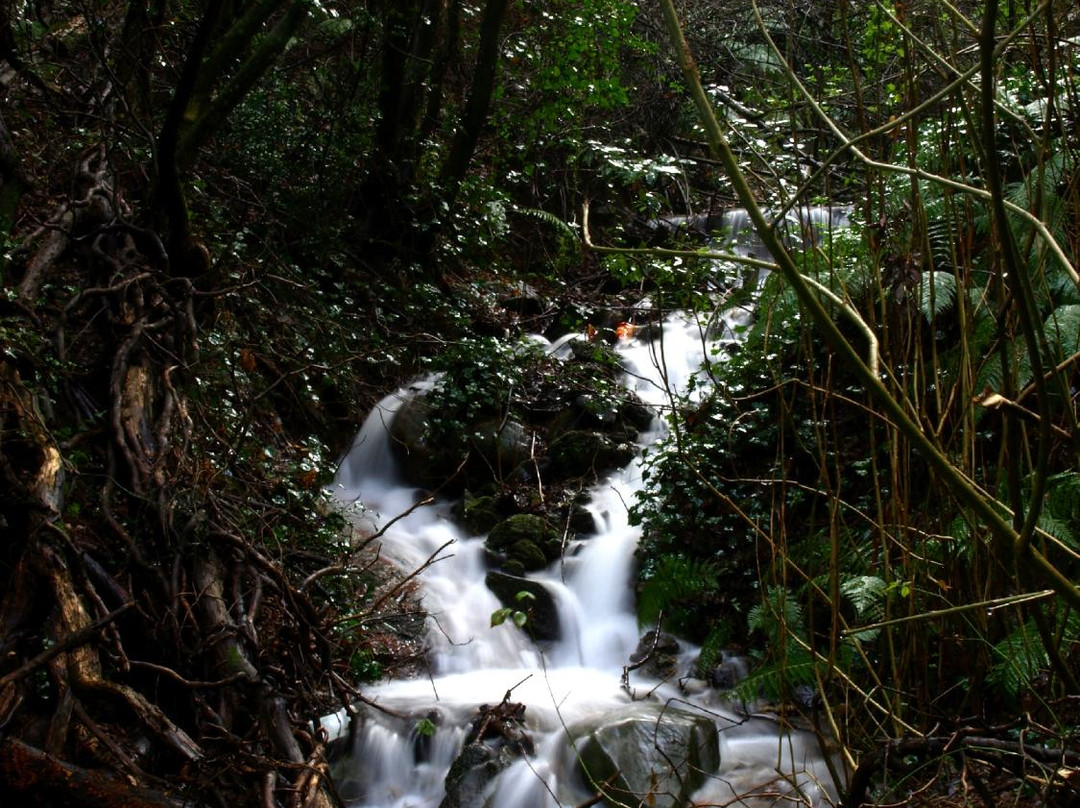 Parco Forestale di Poggio Neri景点图片