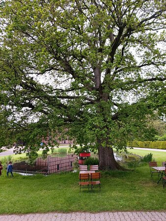 Hotel am Kloster主图