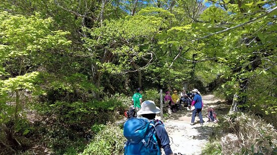 Mt. Ishizuchi景点图片
