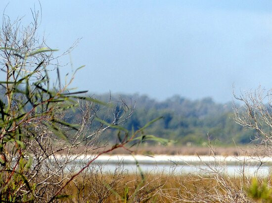 Lake Cooloongup Flora and Fauna Reserve景点图片