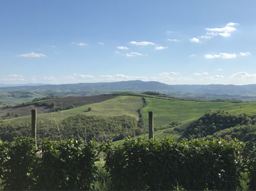Agriturismo Torricella