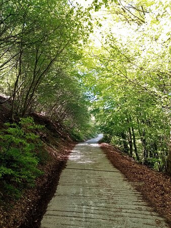 Via dei Monti Lariani-切尔诺比奥必去景点
