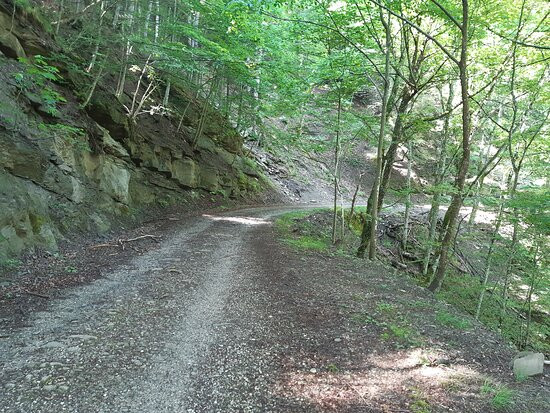 Parco Nazionale delle Foreste Casentinesi, Monte Falterona e Campigna景点图片