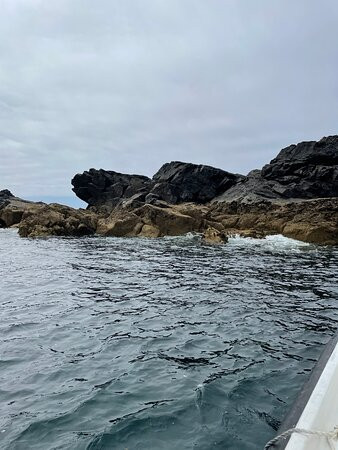 The Little Mermaid ~ St. Ives Sea Trips景点图片