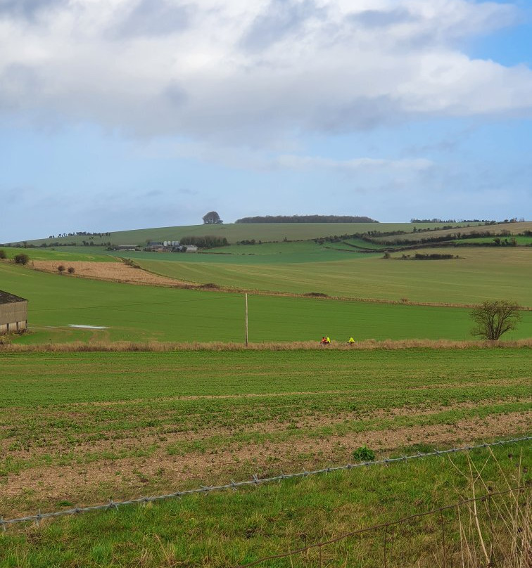 Imber Range Perimeter Path-Westbury必去景点