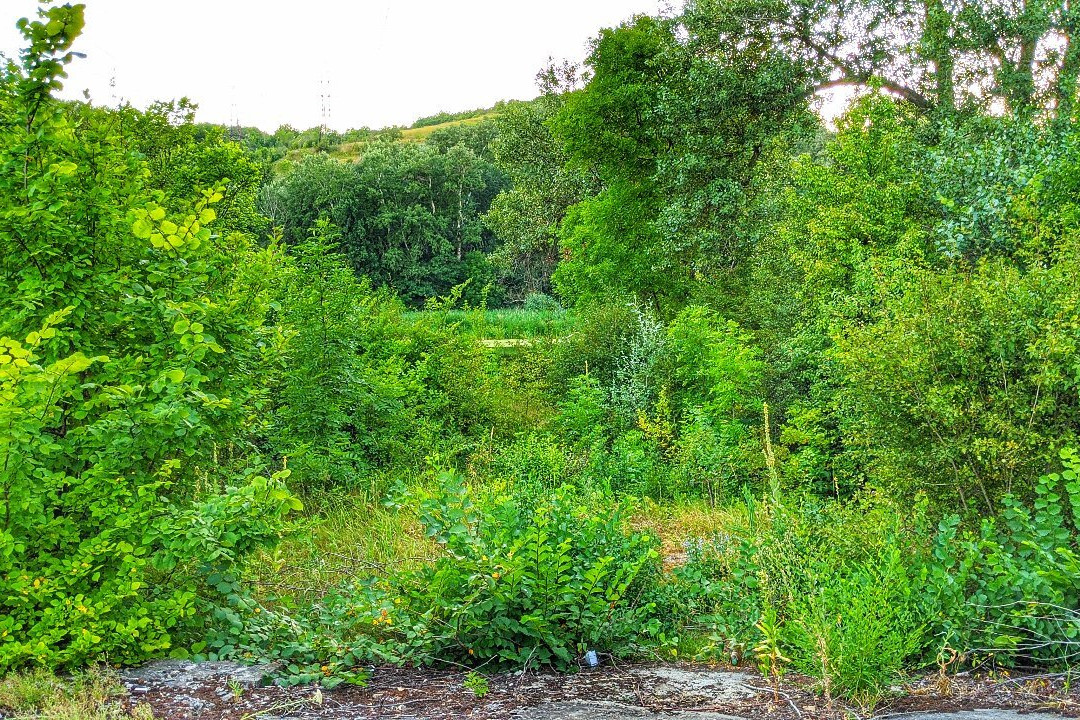 Severskiy Donets River Trail Oaks-Lysychansk必去景点
