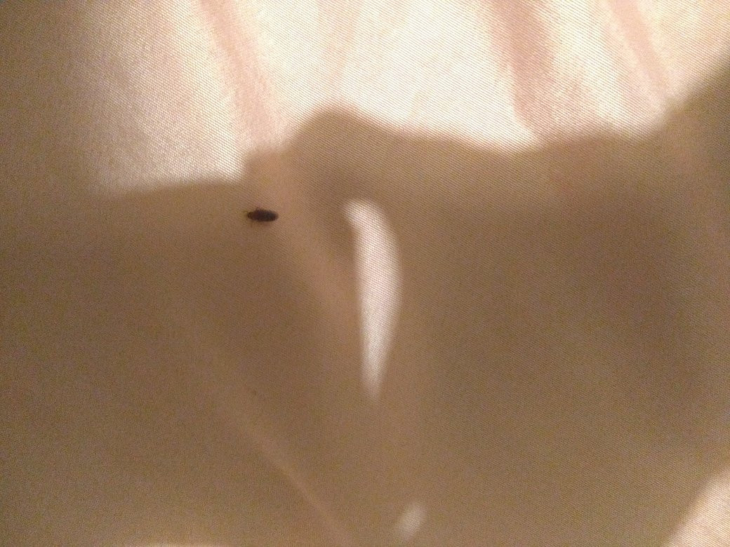 Pension Santa Rosa主图