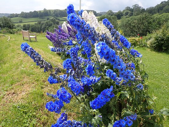 Sid Valley Country House Hotel主图