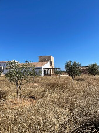 Torre Vella Fontenille Menorca主图