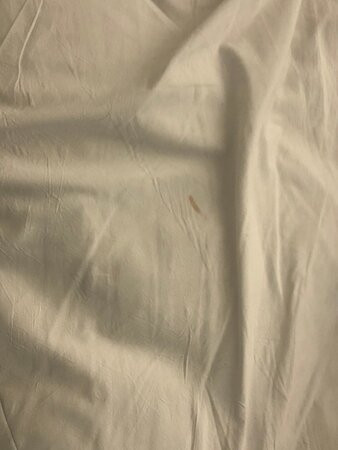Isla Bella Beach Resort主图