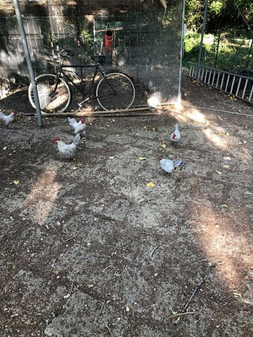 Oasi Naturalistica-Tortoreto必去景点