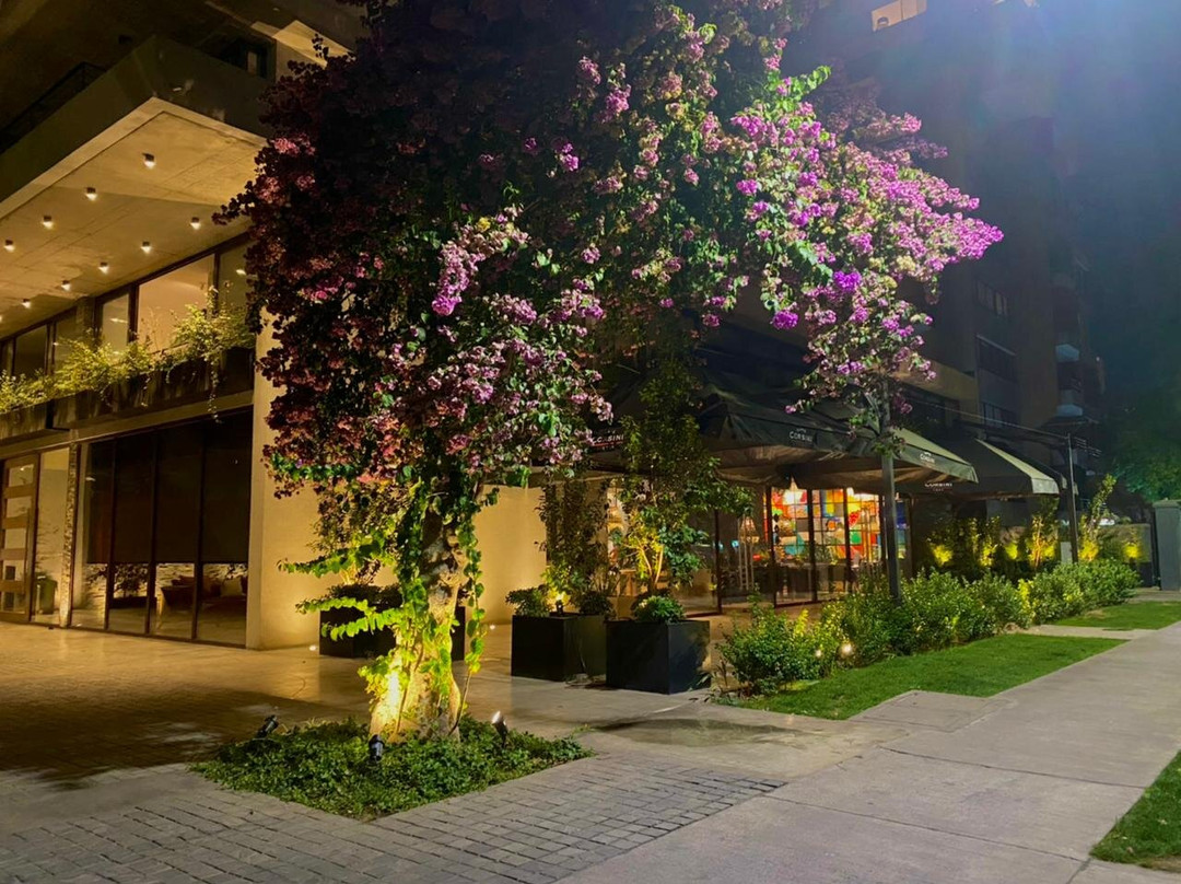 The Place, Live & Meet主图