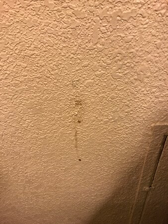 Red Roof Inn Detroit - Troy主图