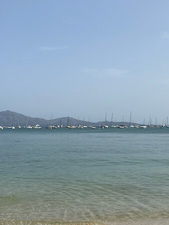 Playa del Puerto de Pollensa景点图片