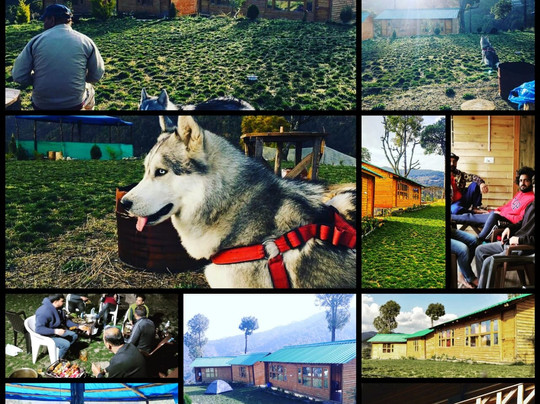 Golden Valley Cottages