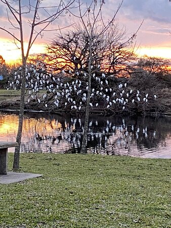 Hotel Quinto Elemento主图