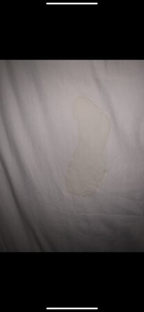 Hampton Inn & Suites Natchez主图