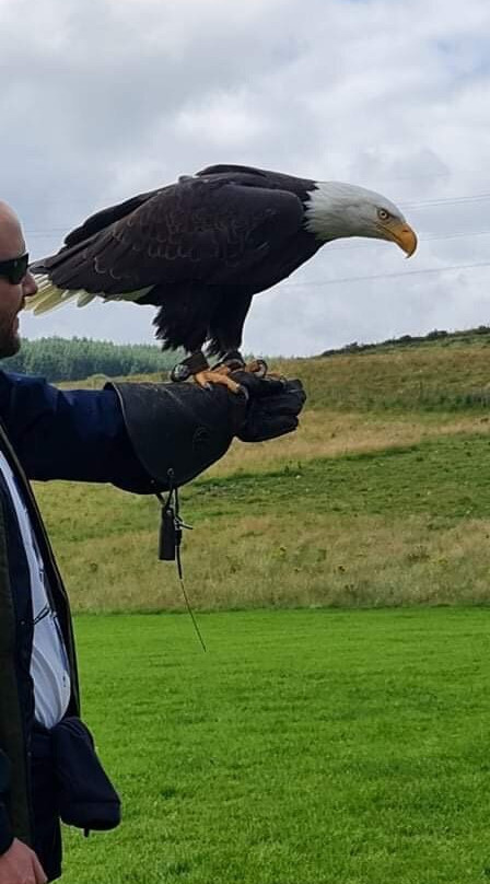 North East Falconry Centre-Huntly必去景点