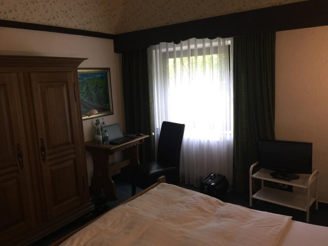 Hotel Prinz Heinrich Darmstadt Griesheim主图