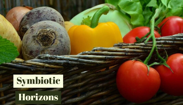 Symbiotic Horizons Farm