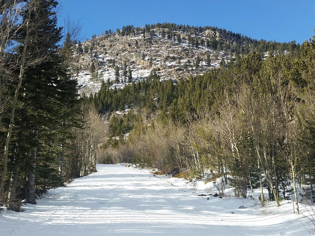 Nederland旅游攻略图片