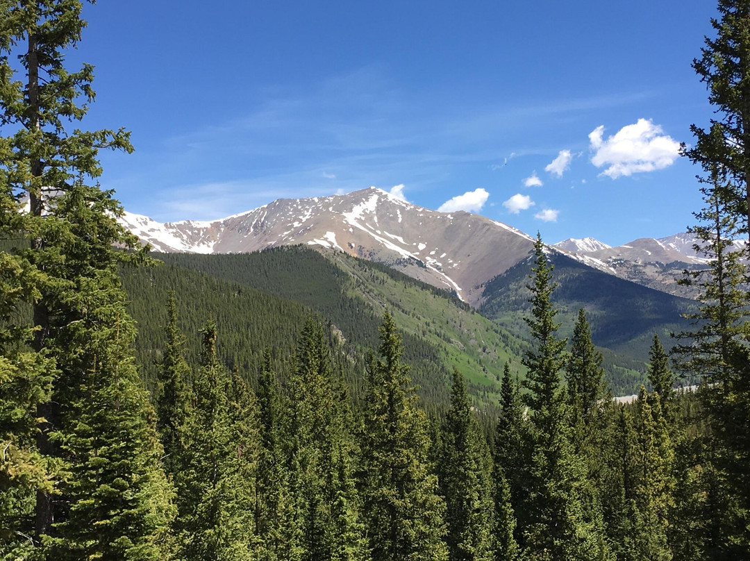 Monarch旅游攻略图片