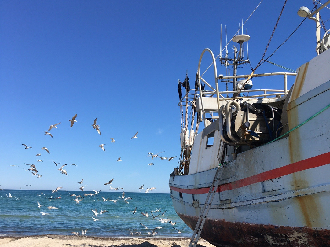 Thorup Strand旅游攻略图片