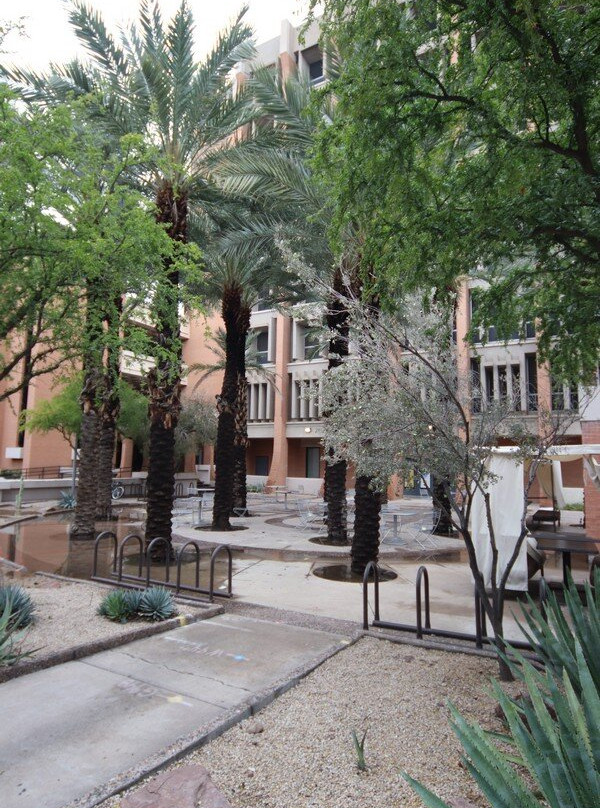 Arizona State University-坦佩必去景点