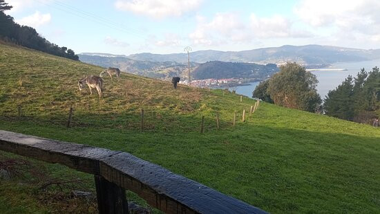 加梅特索酒店主图