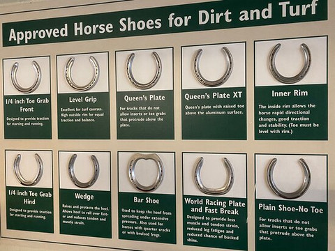 Horse Country-列克星敦必去景点