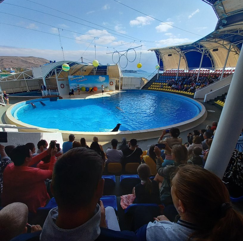 Dolphinarium Koktebel-Koktebel必去景点
