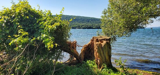 Glimmerglass State Park景点图片