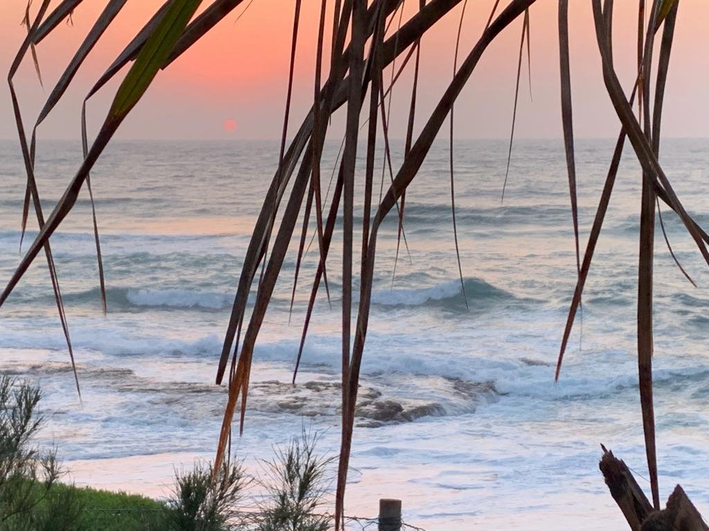 Salt Rock Hotel & Beach Resort-酒店景观