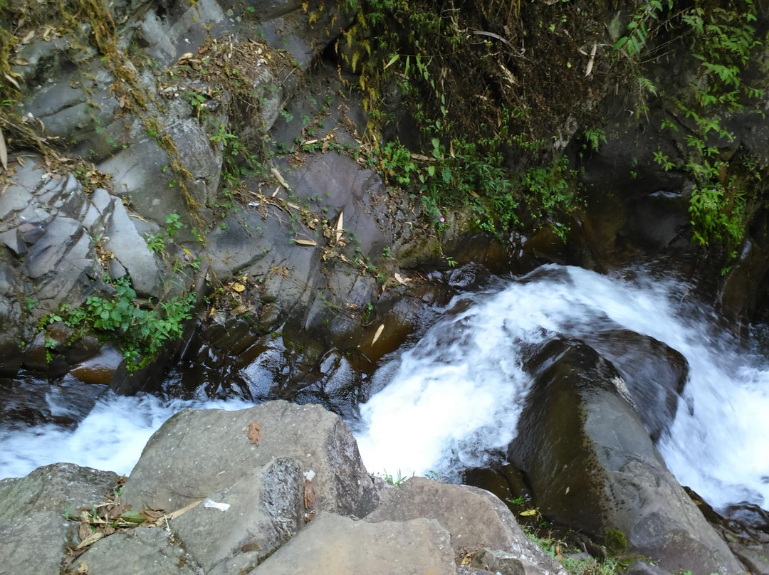 Subang旅游攻略图片