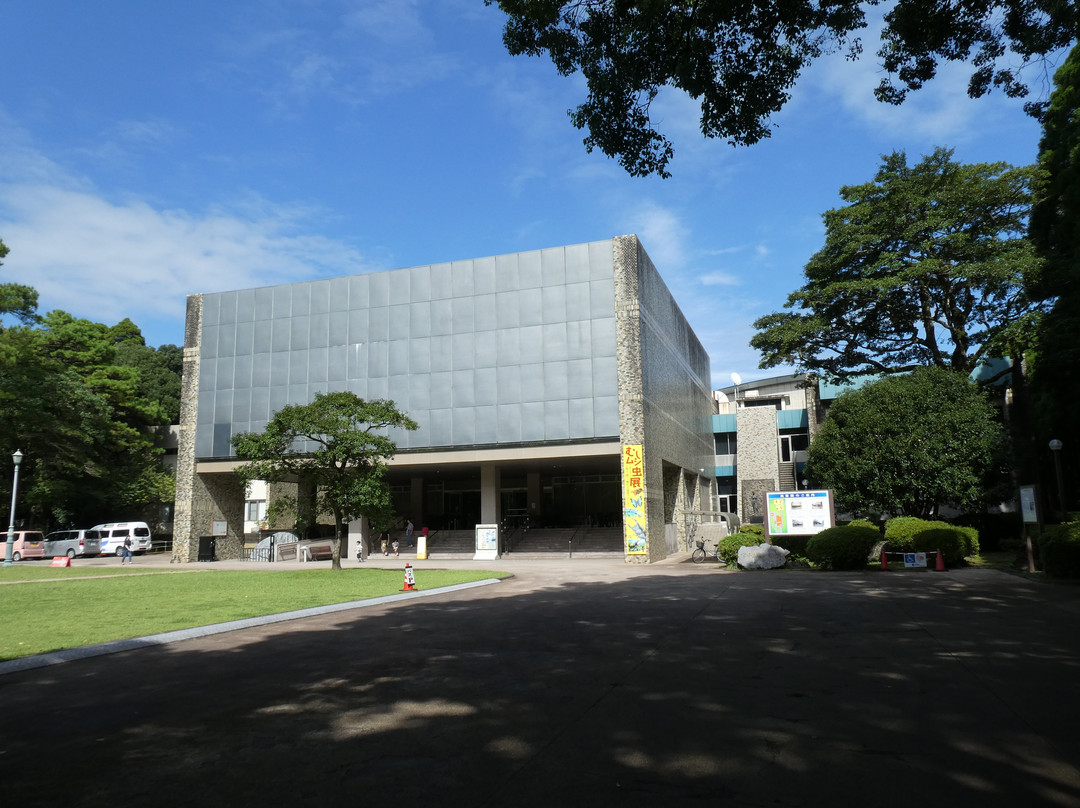 Miyazaki Prefectural Museum of Nature and History景点图片