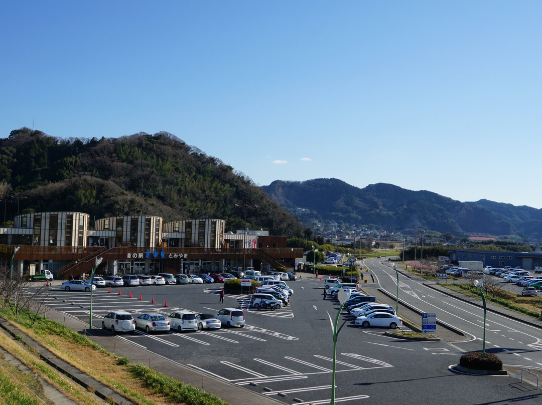 Michi-no-Eki Furari Tomiyama景点图片