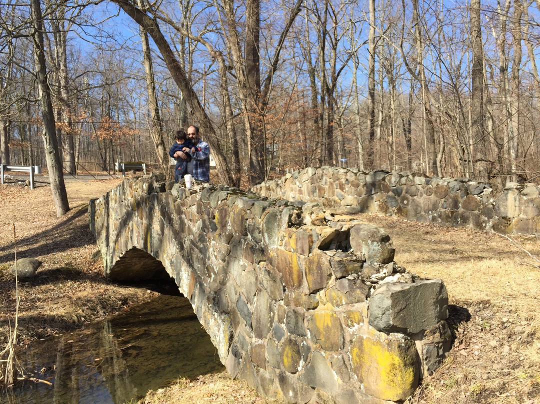 Ringing Rocks Park-Potts Grove必去景点