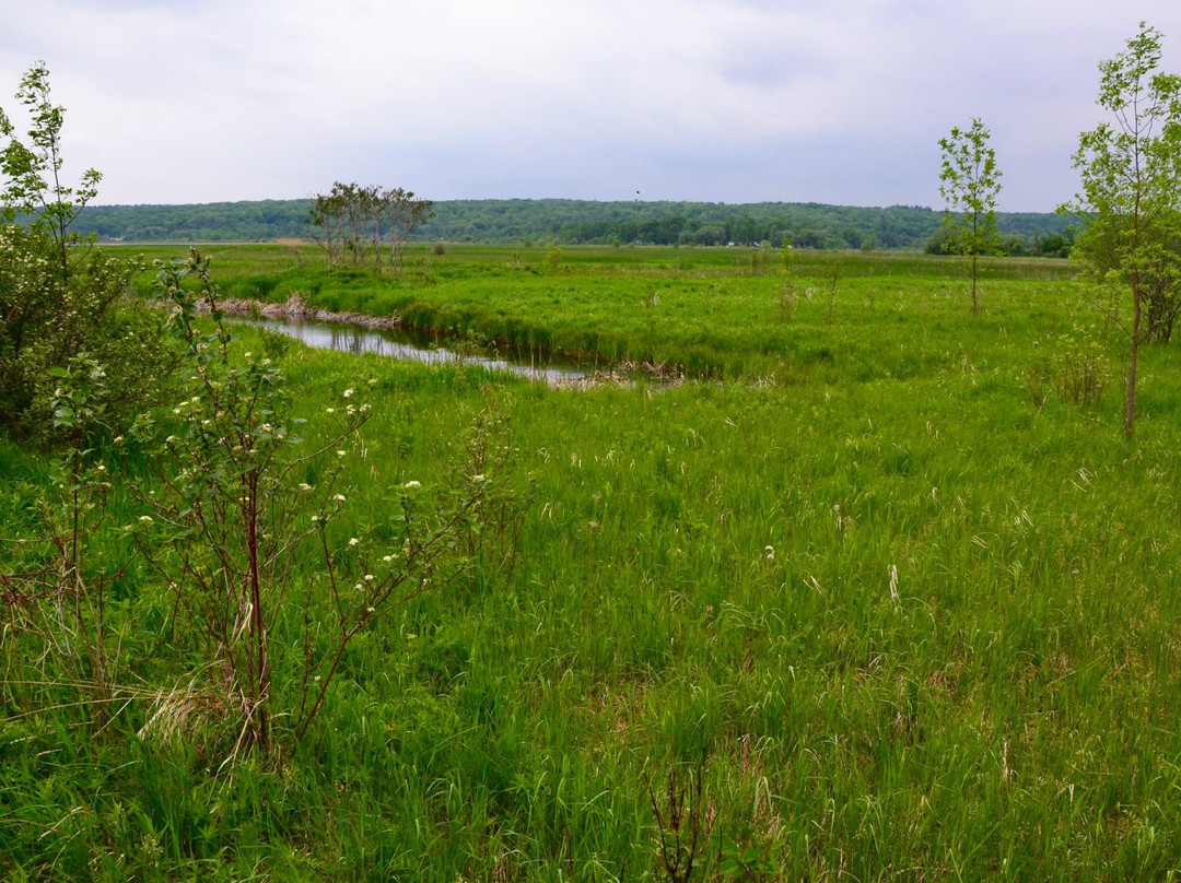 Matchedash Bay Provincial Wildlife Area景点图片